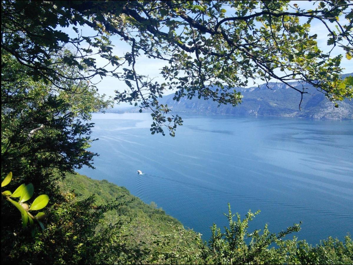 Grande Maison Familiale Dans Le Massif Des Bauges Vakantiehuis Montcel (Savoie)