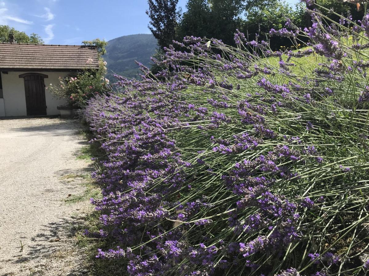 Grande Maison Familiale Dans Le Massif Des Bauges